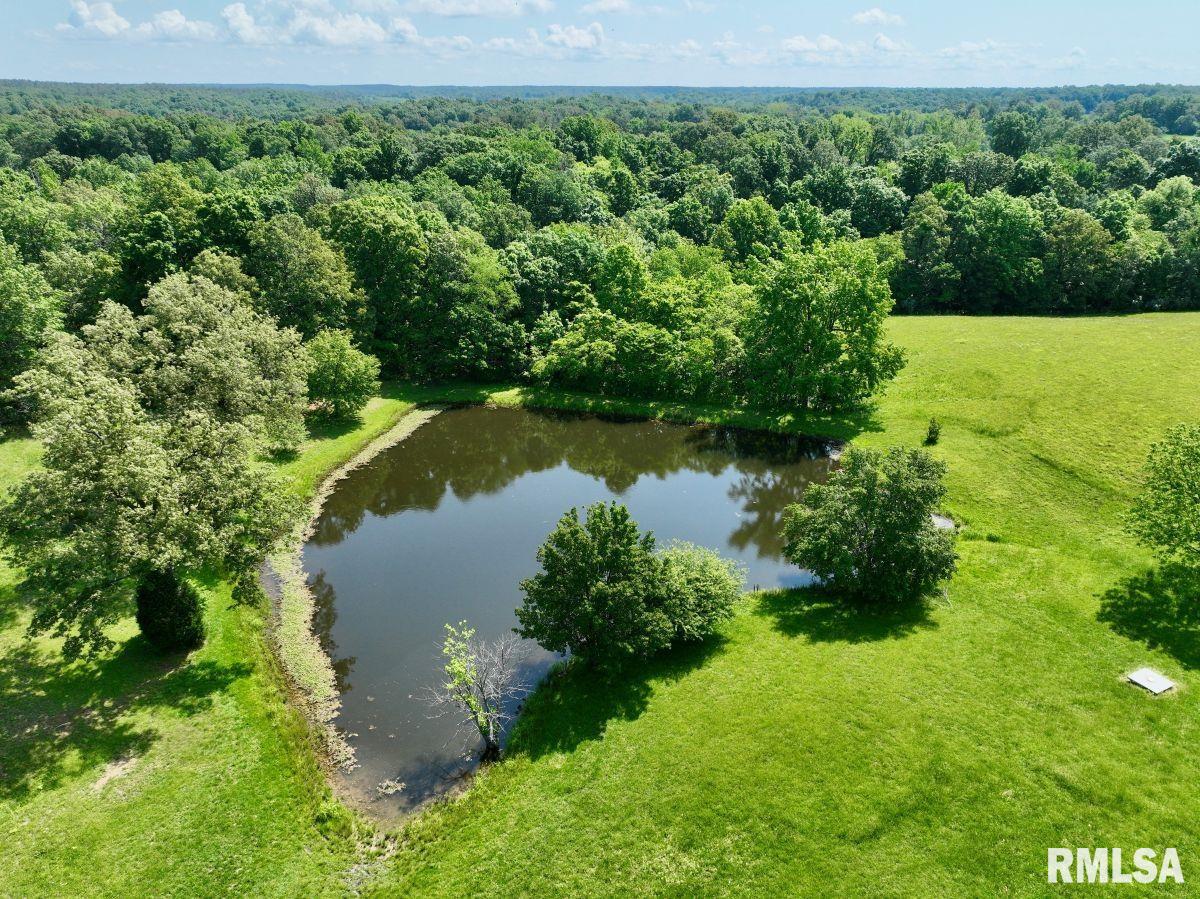 0 Midway Road Golconda, IL 62938 - Photo 4 of 25 Gallery Image 4