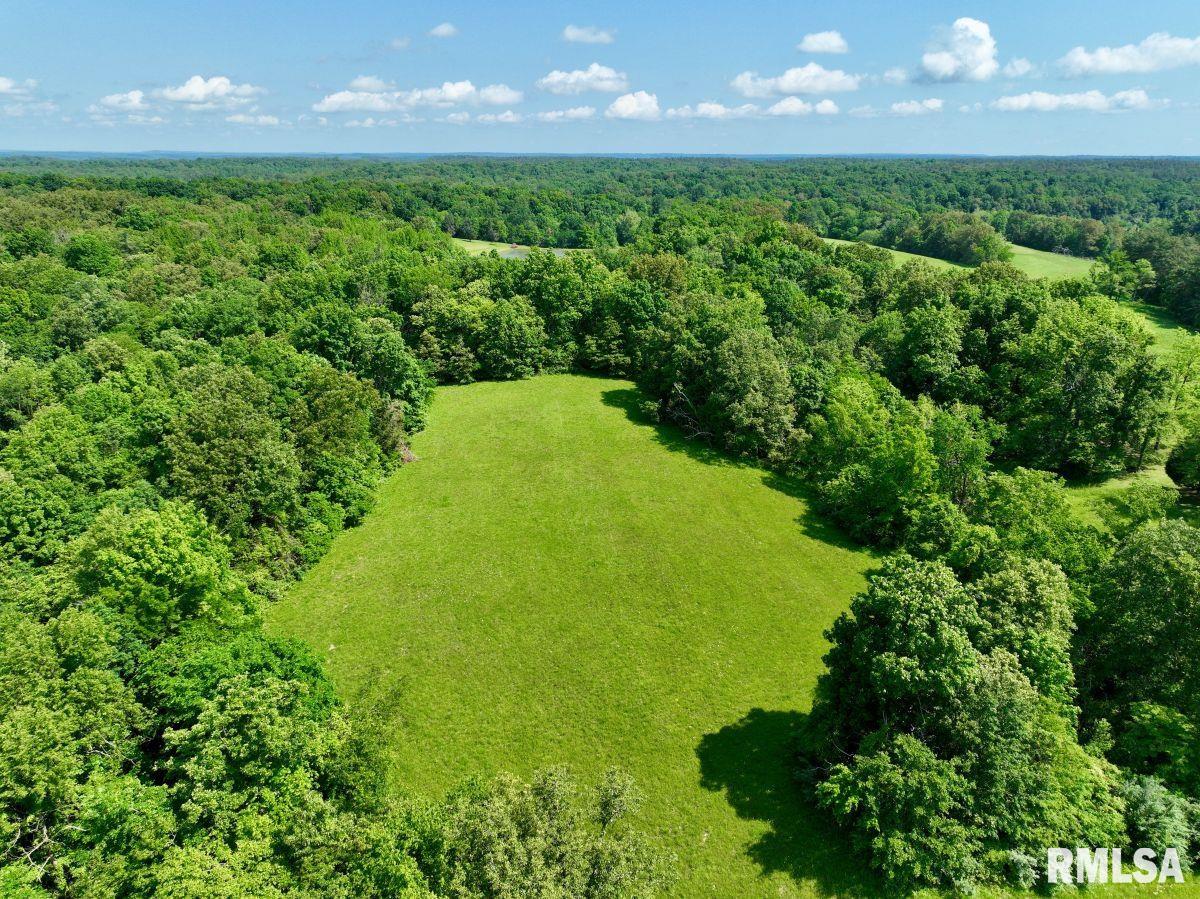0 Midway Road Golconda, IL 62938 - Photo 9 of 25 Gallery Image 9