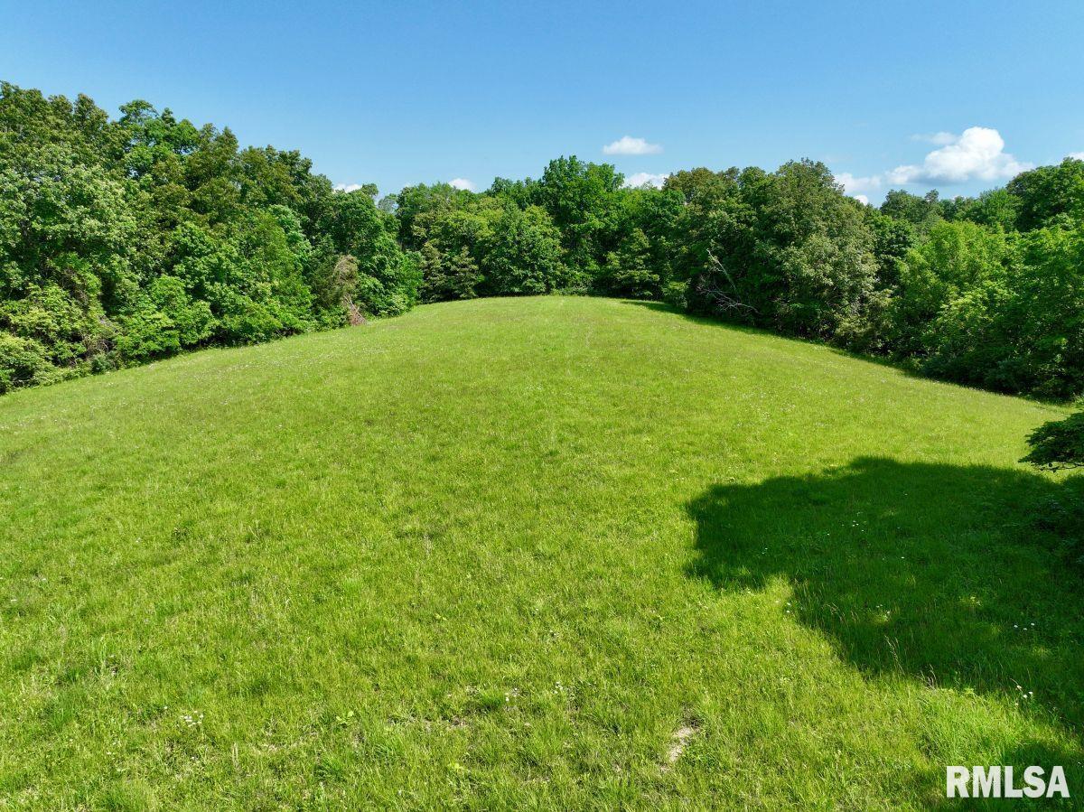 0 Midway Road Golconda, IL 62938 - Photo 10 of 25 Gallery Image 10
