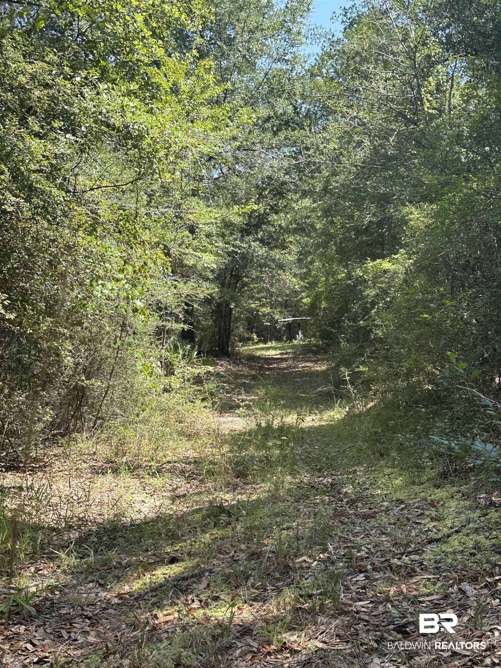 17175 Kelly Road Mount Vernon, AL 36560 - Photo 16 of 30 View of landscape