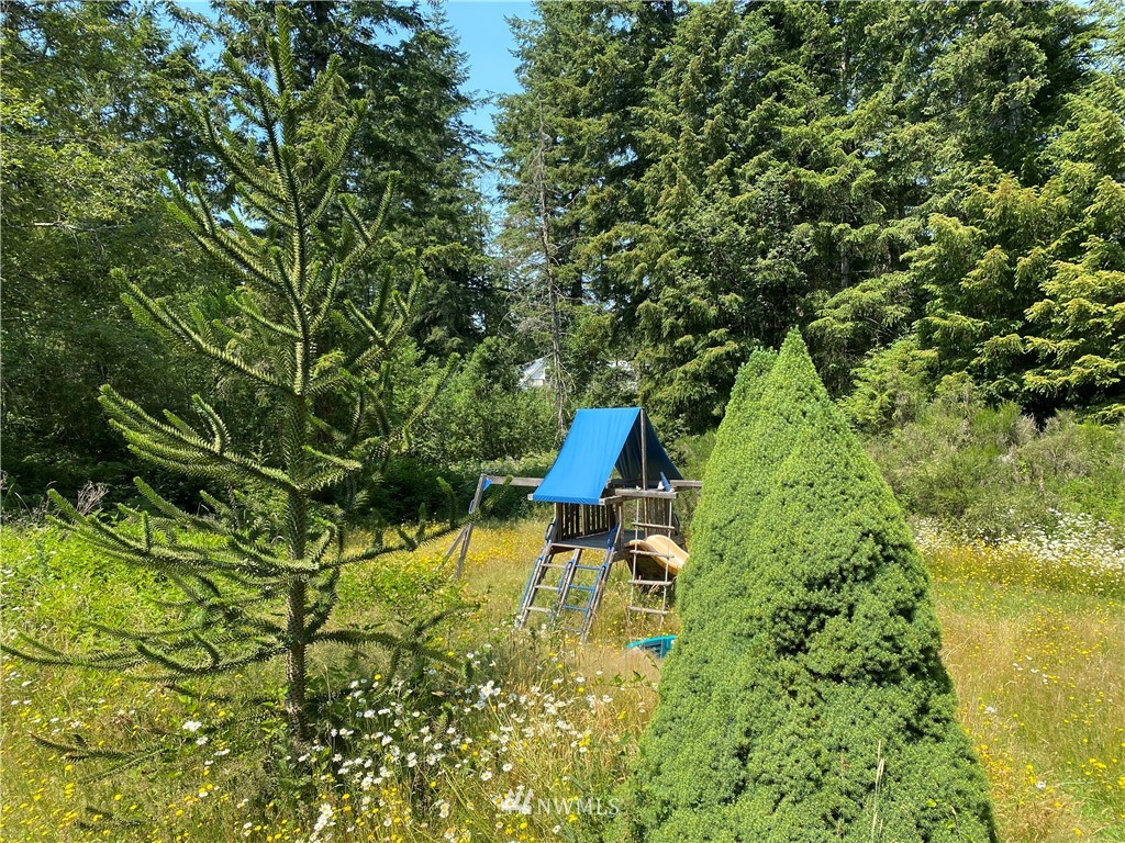 605 Raptor Lane Northwest Seabeck, WA 98380 - Photo 15 of 25 Gallery Image 15