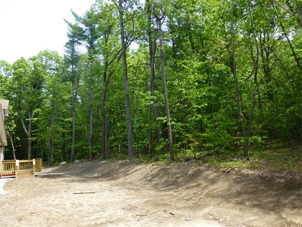 92 Kendall Road Holden, MA 01520 - Photo 12 of 12 a view of a yard with plants and trees