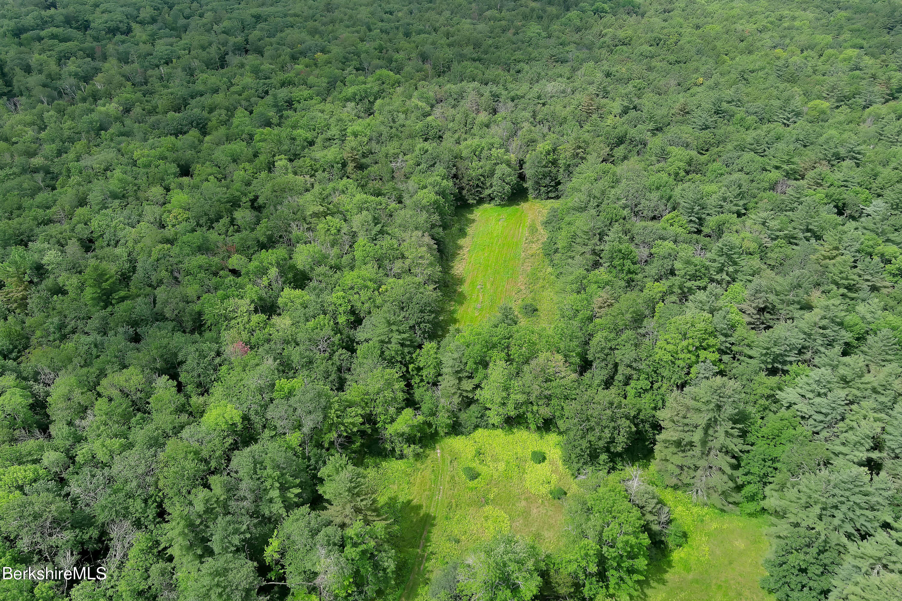 a view of a forest with a sink