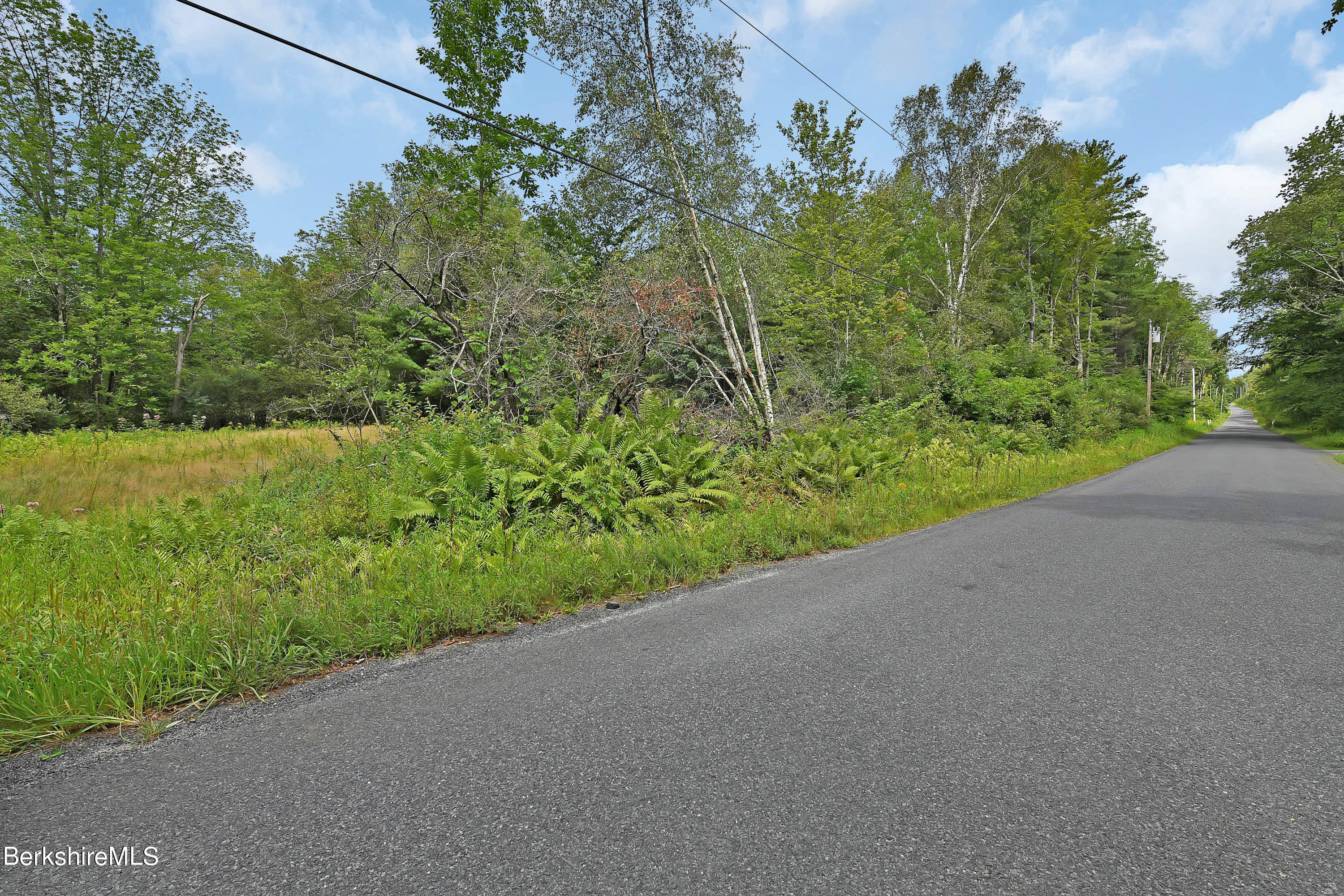 0 Town Hill Road Sandisfield, MA 01255 - Photo 14 of 21 a view of a garden with plants