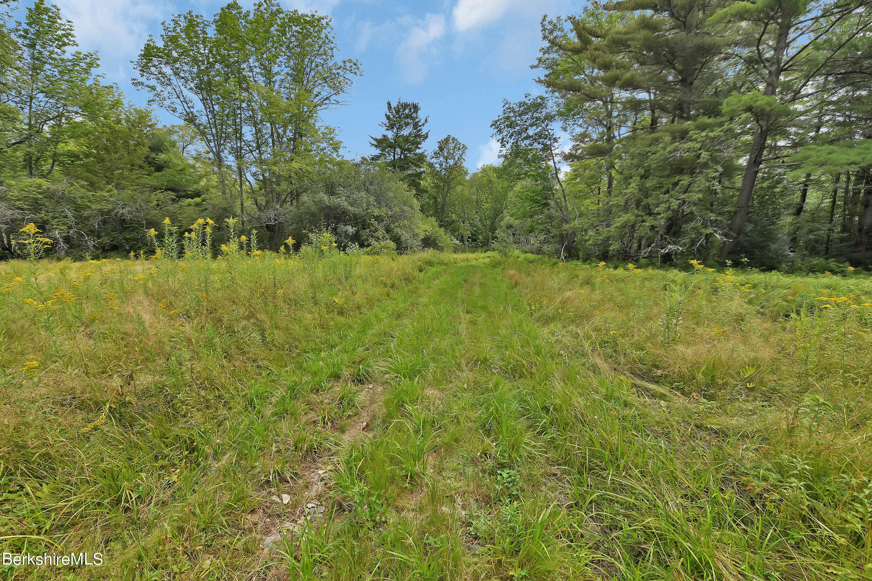 0 Town Hill Road Sandisfield, MA 01255 - Photo 16 of 21 a view of a field with trees