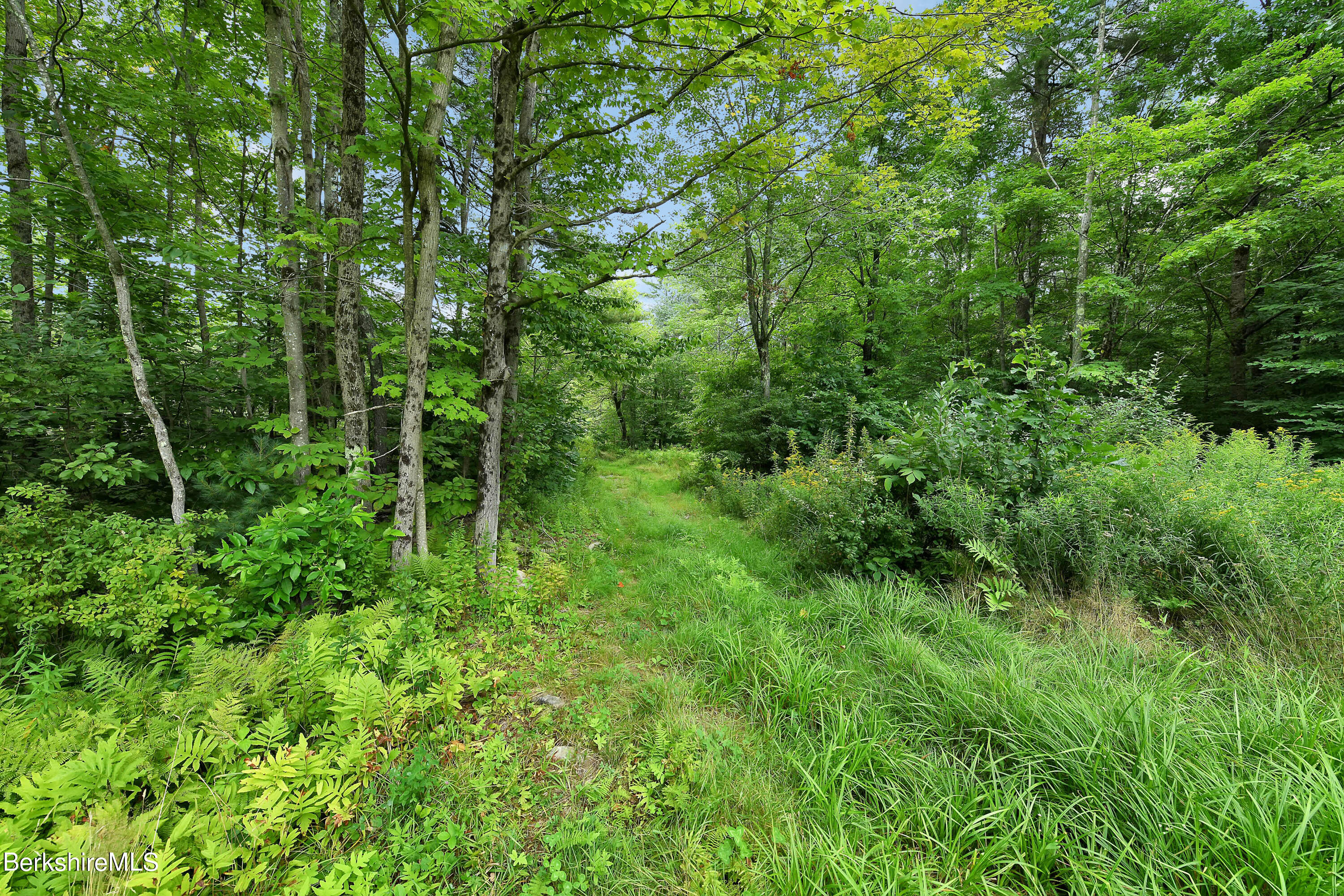 0 Town Hill Road Sandisfield, MA 01255 - Photo 17 of 21 a view of forest