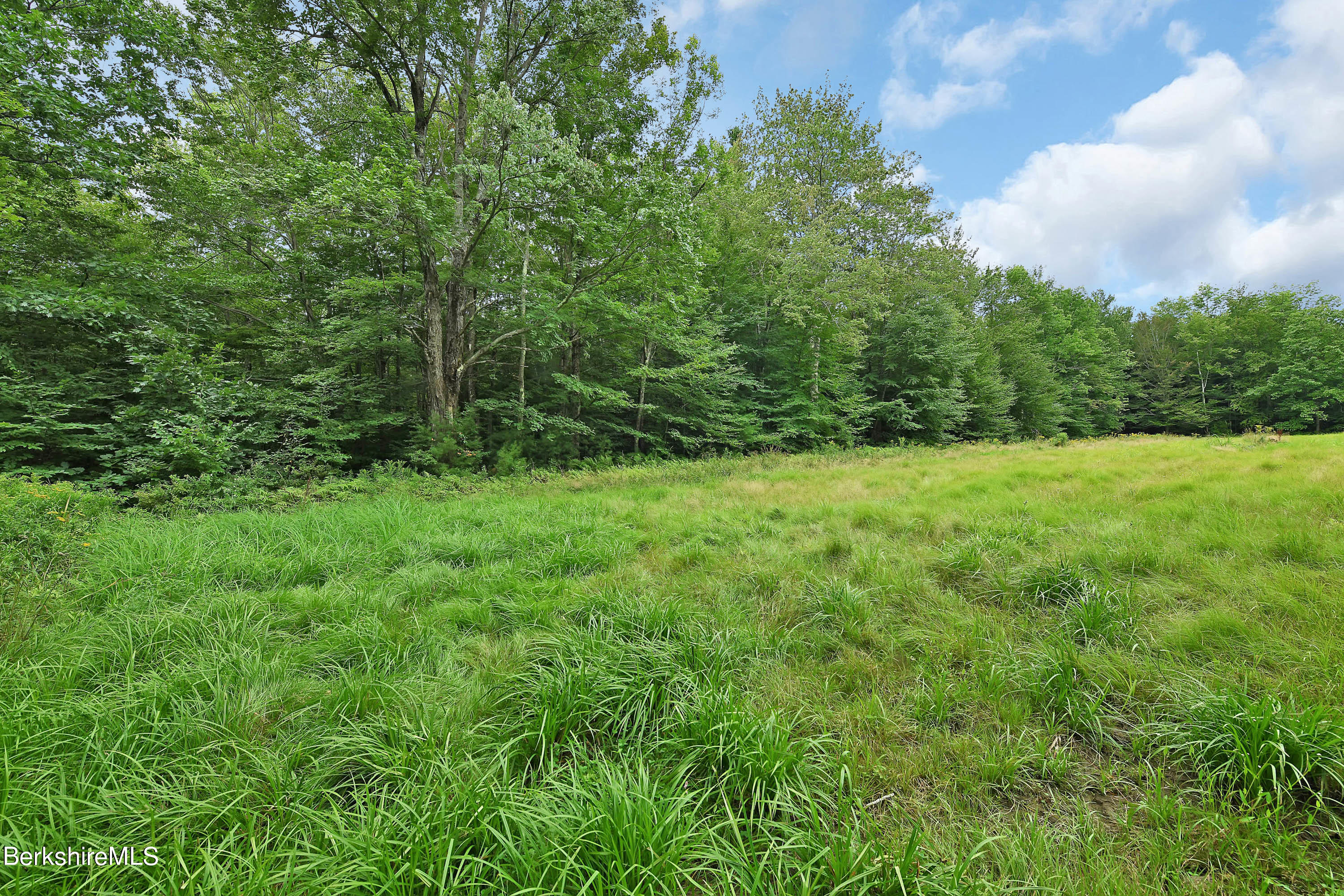 0 Town Hill Road Sandisfield, MA 01255 - Photo 18 of 21 a view of an outdoor space and a yard