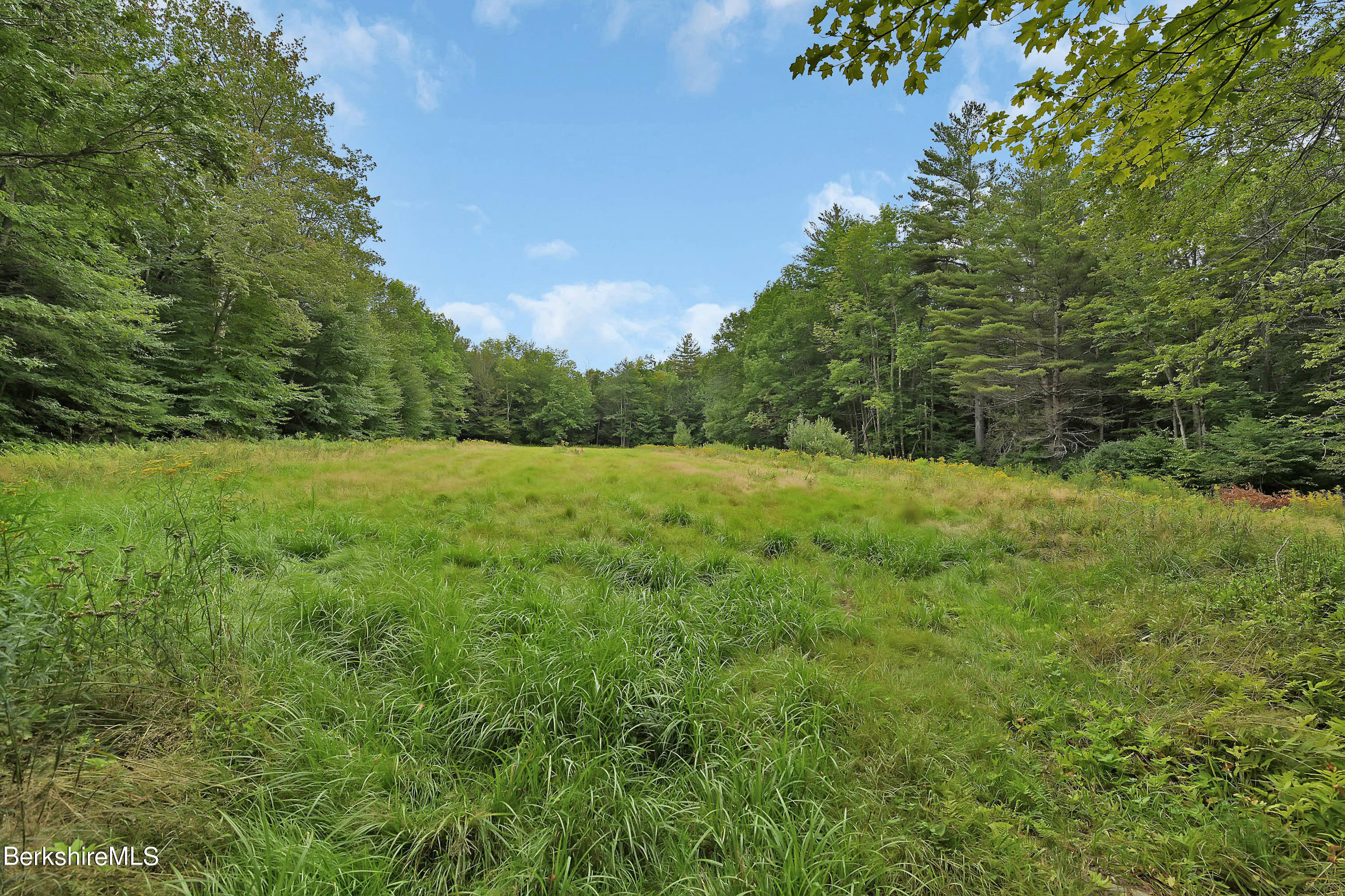 0 Town Hill Road Sandisfield, MA 01255 - Photo 19 of 21 a view of field with trees
