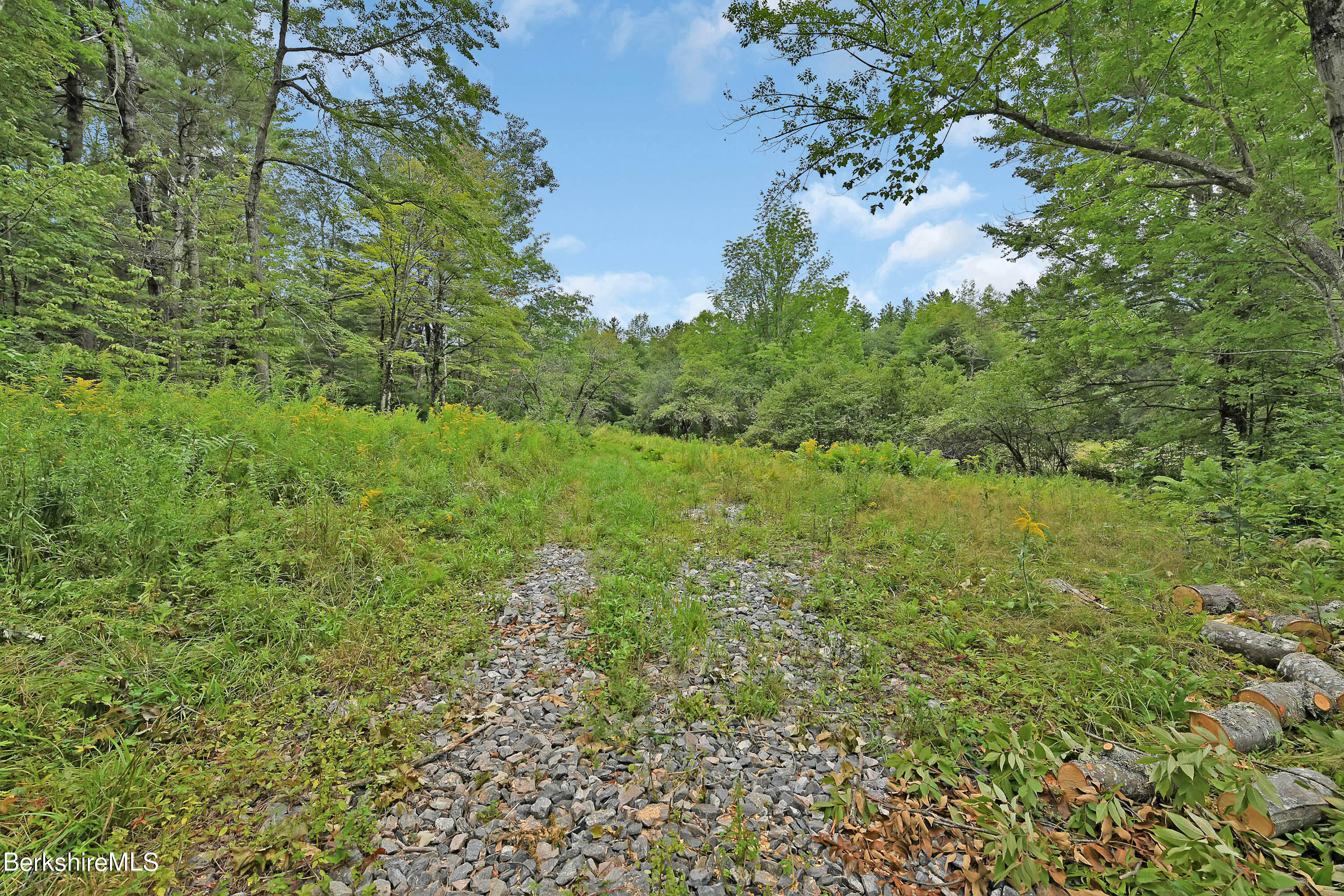 0 Town Hill Road Sandisfield, MA 01255 - Photo 20 of 21 a view of a lush green forest