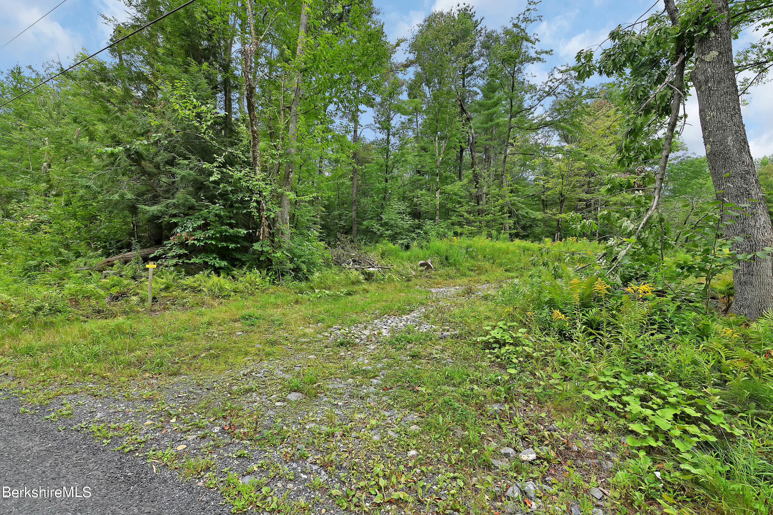 0 Town Hill Road Sandisfield, MA 01255 - Photo 21 of 21 a view of a lush green forest