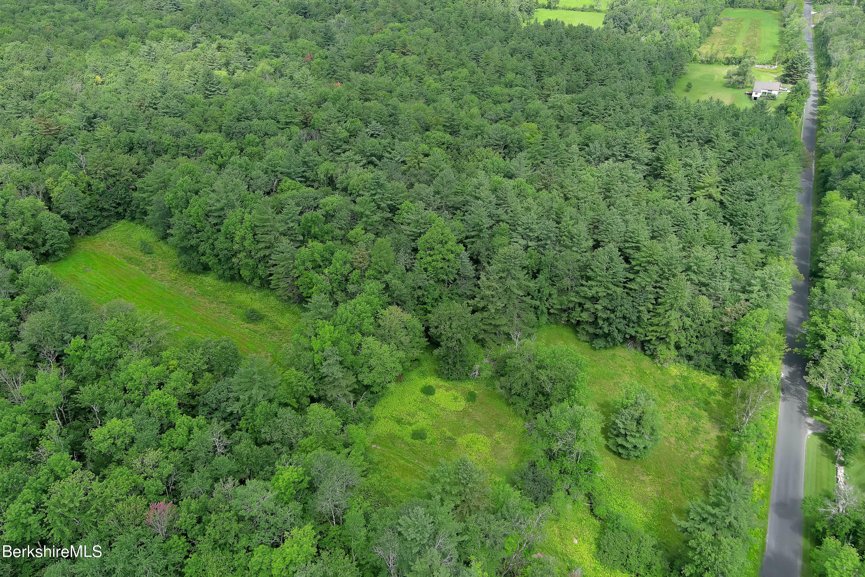 0 Town Hill Road Sandisfield, MA 01255 - Photo 6 of 21 a view of a lush green forest