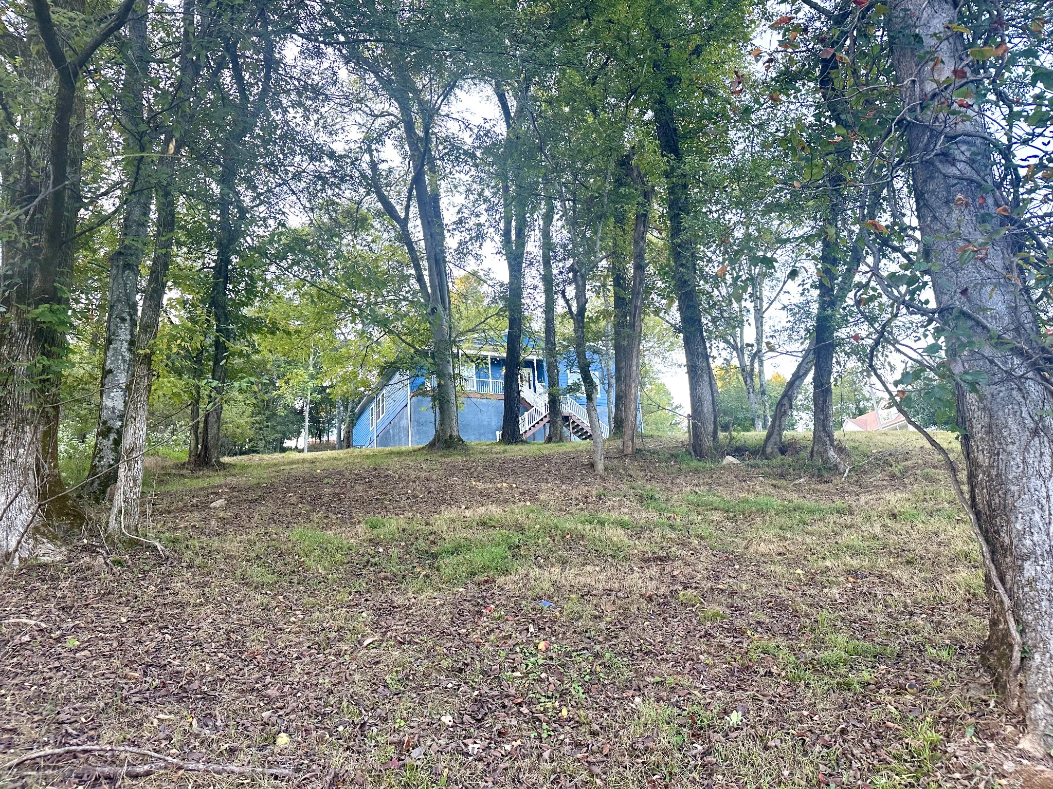 286 Emily Lane Bell Buckle, TN 37020 - Photo 3 of 38 a backyard of a house with lots of green space