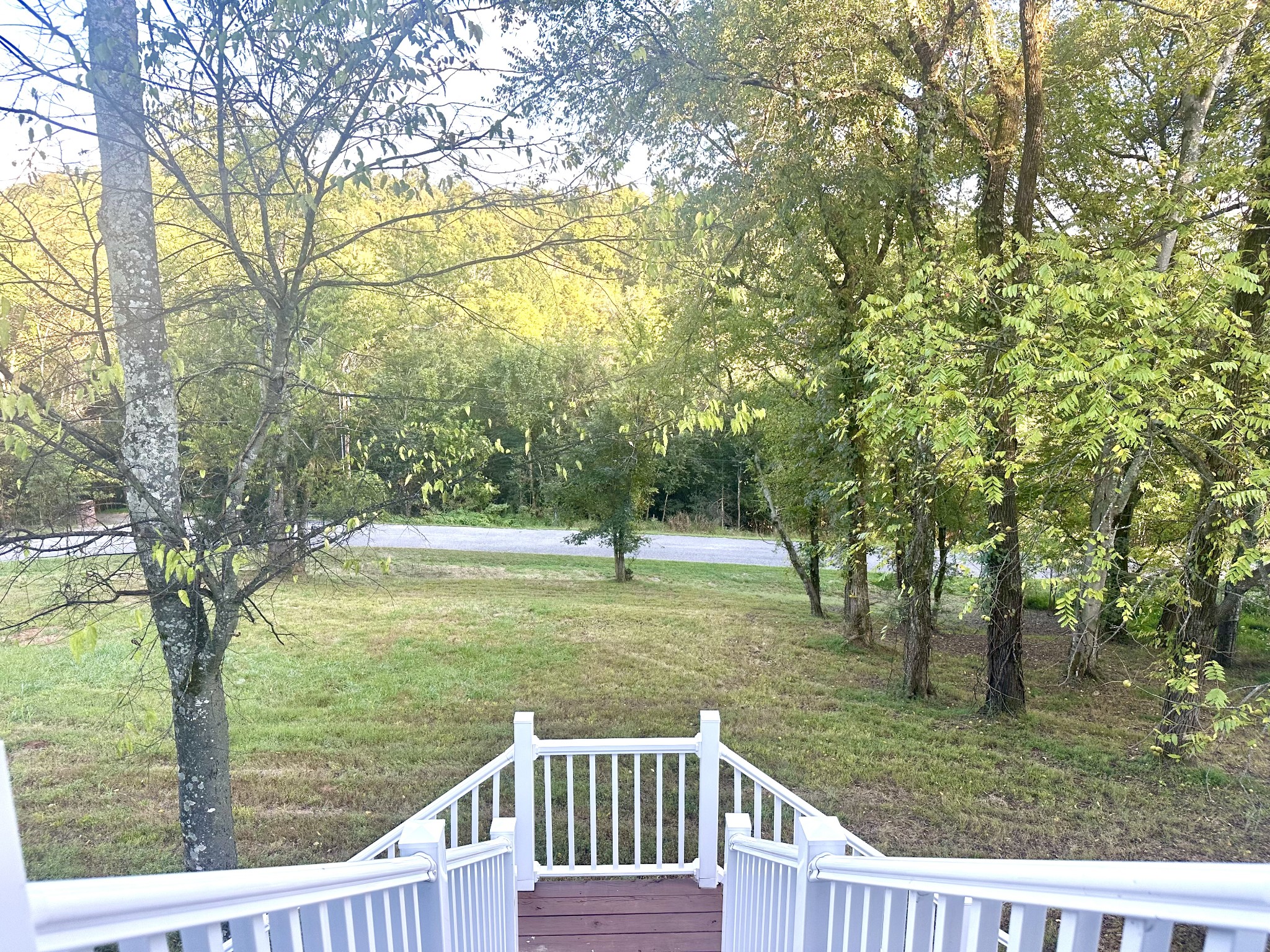 286 Emily Lane Bell Buckle, TN 37020 - Photo 7 of 38 a view of a yard with large trees
