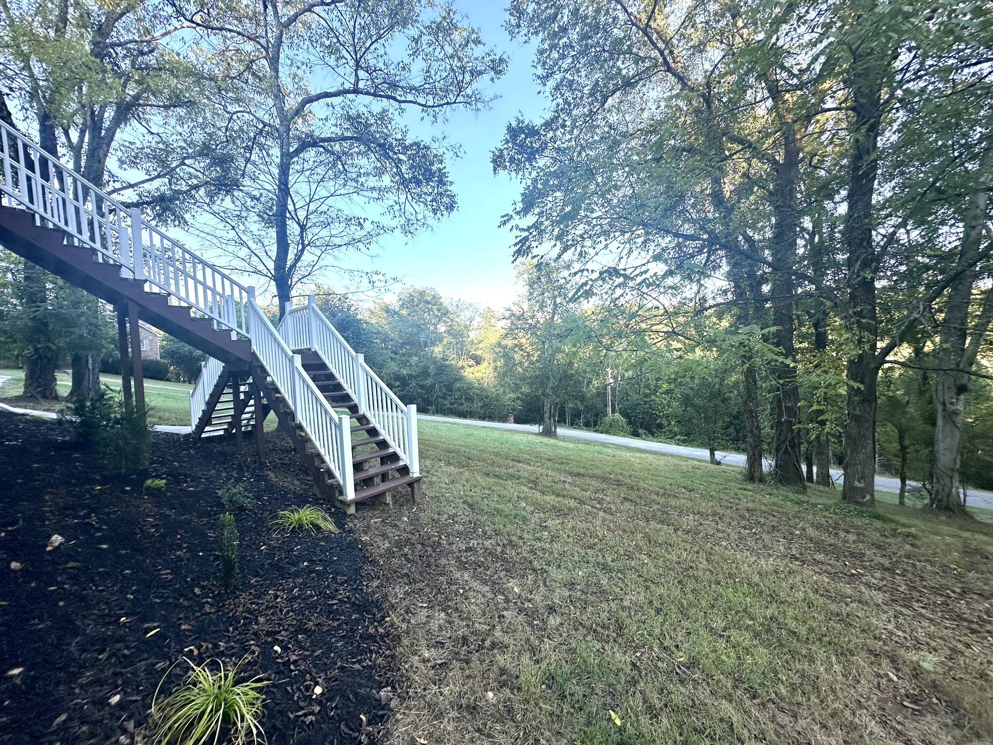 286 Emily Lane Bell Buckle, TN 37020 - Photo 9 of 38 a backyard of a house with lots of green space