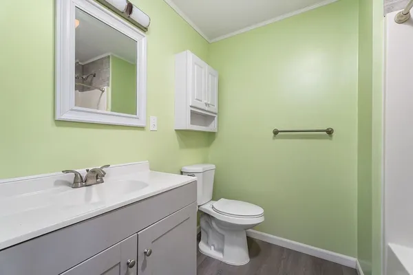 a bathroom with a toilet a sink and mirror