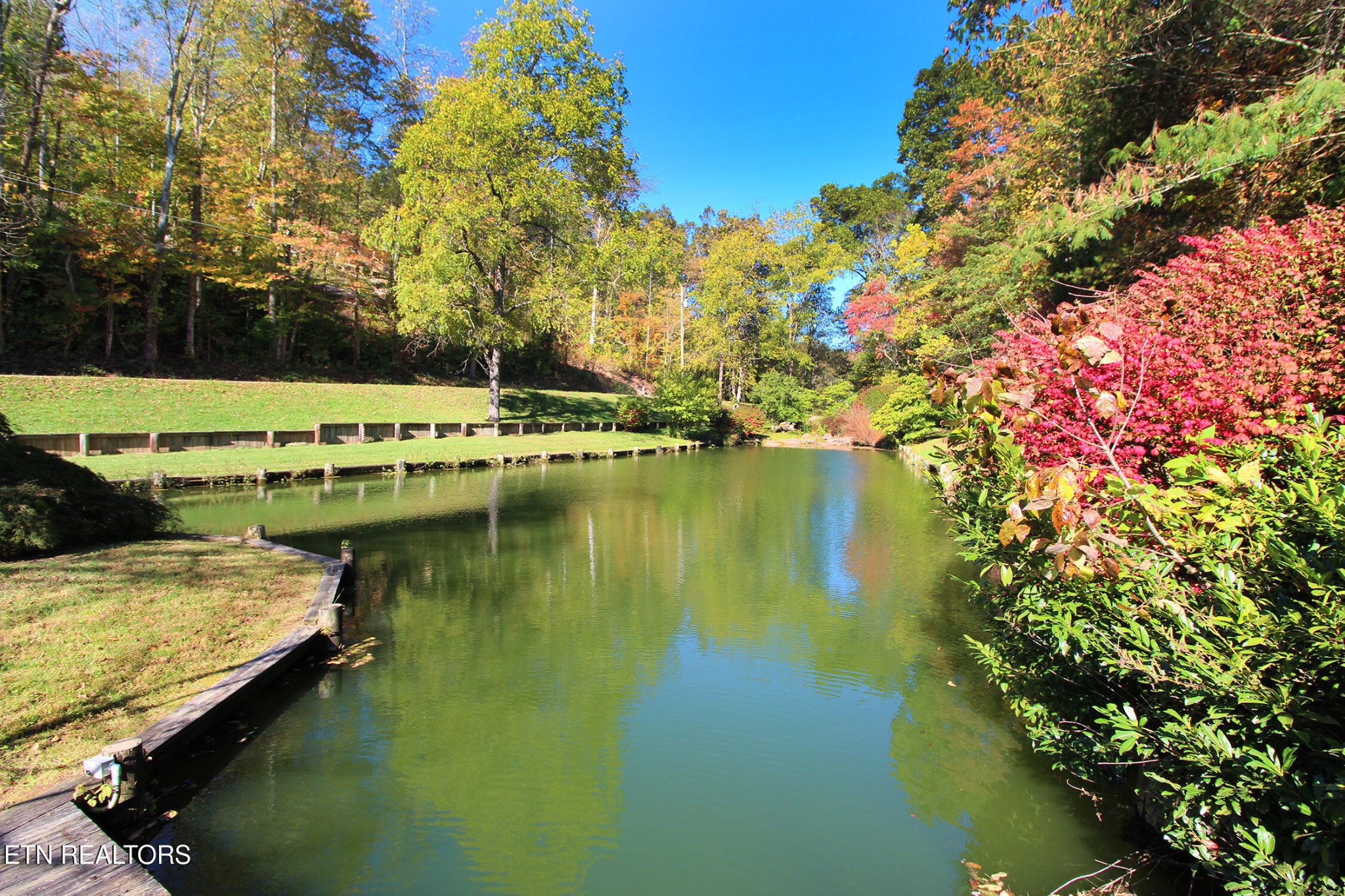 604 Gamble Drive Heiskell, TN 37754 - Photo 9 of 59 Gallery Image 9