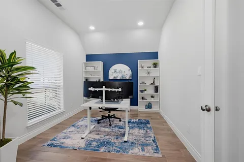 a living room with furniture a rug and a potted plant