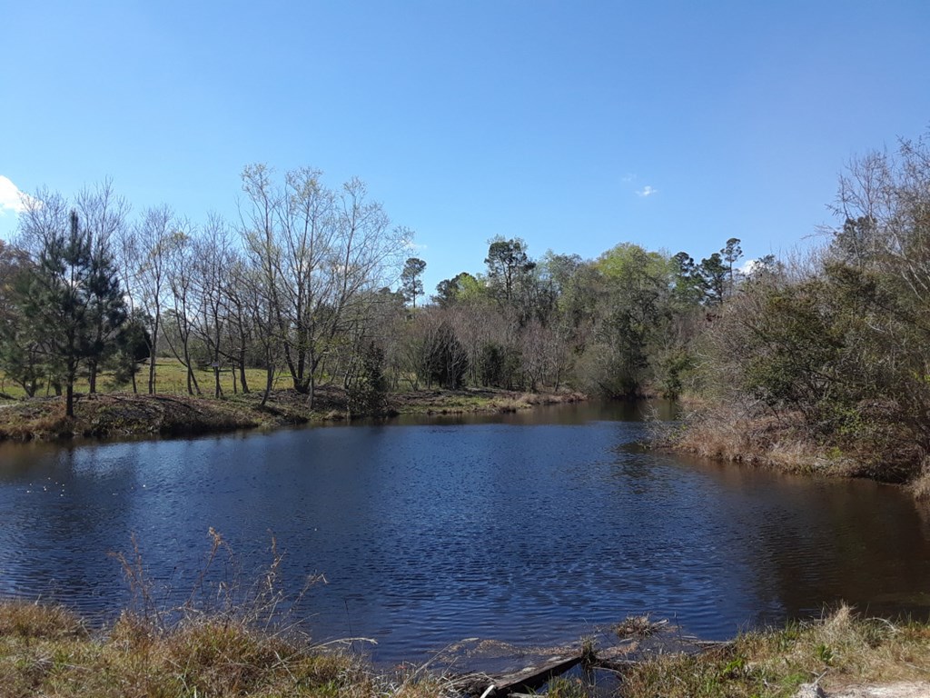 718 J P Jones Road Geneva, AL 36340 - Photo 2 of 6