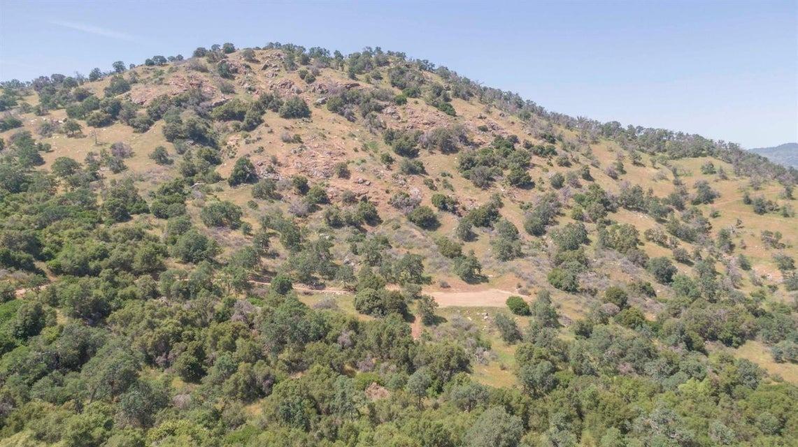 0 Ruth Hill Road Squaw Valley, CA 93675 - Photo 15 of 31