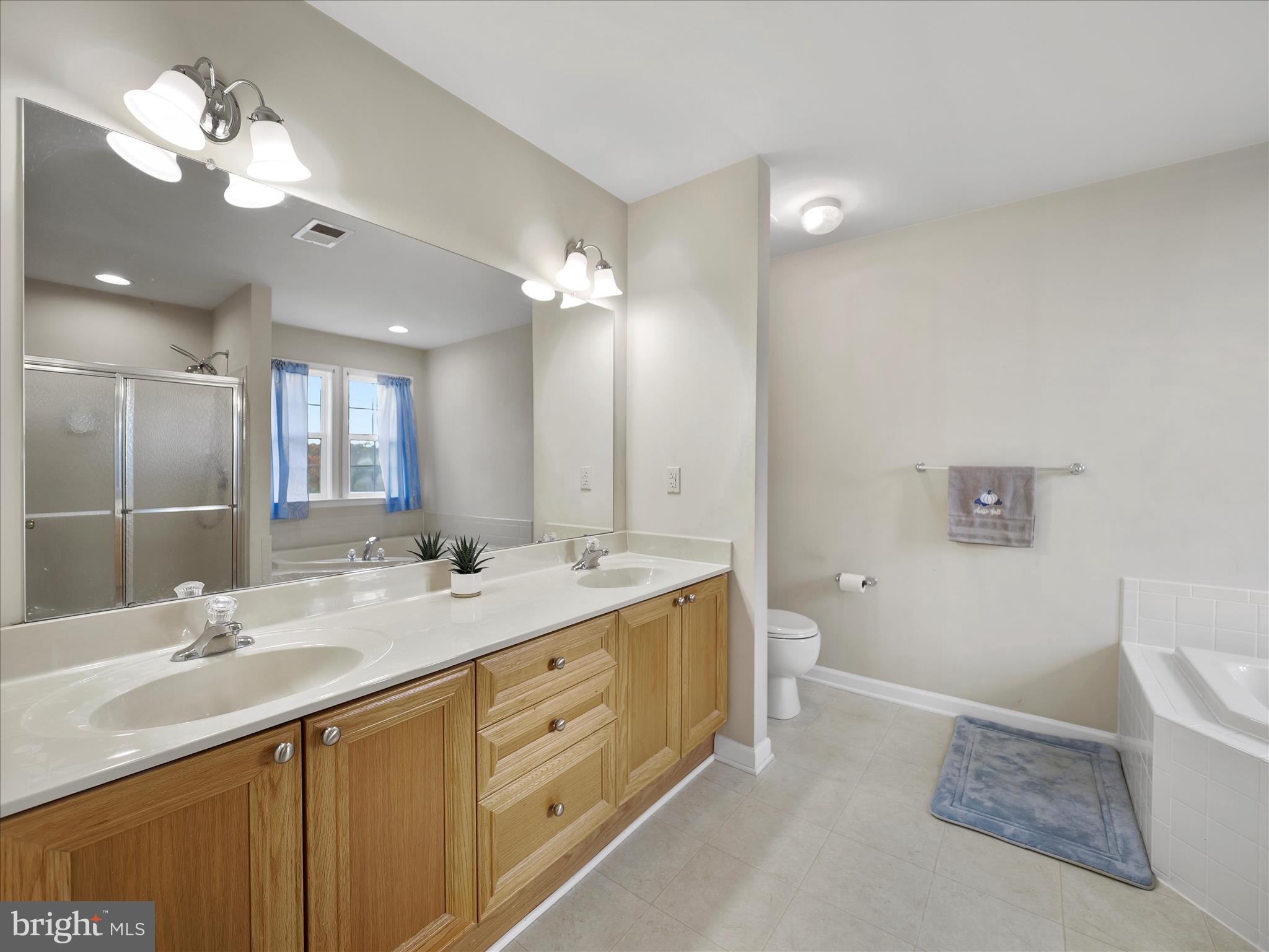 837 Triumphant Way Falling Waters, WV 25419 - Photo 46 of 66