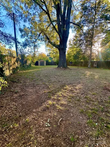 a view of a yard with a tree