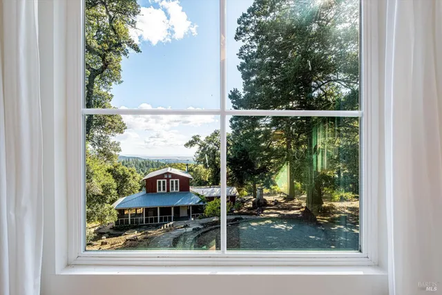 a childrens park with lots of trees