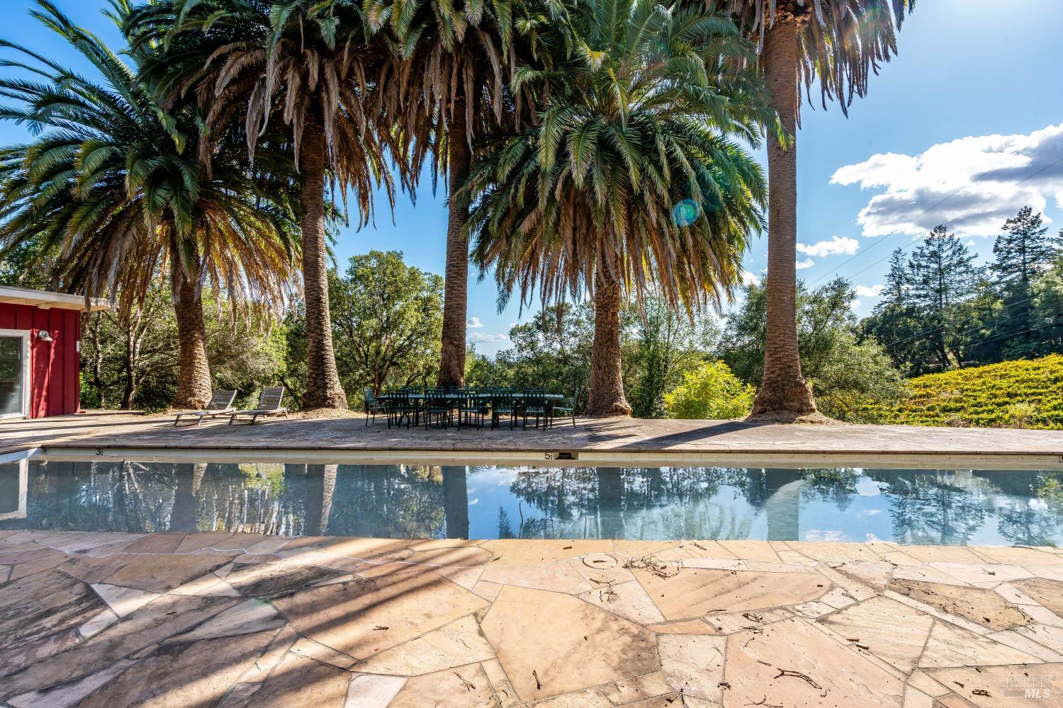 3200 Castle Road Sonoma, CA 95476 - Photo 38 of 42 Pool views. *not current pool condition. It is under repair. *image has been generated by AI