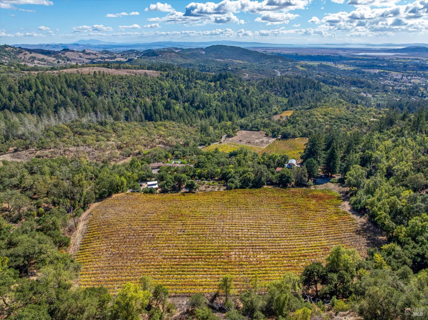 3200 Castle Road Sonoma, CA 95476 - Photo 39 of 42 View of the vineyard block behind the car barn looking over the property.