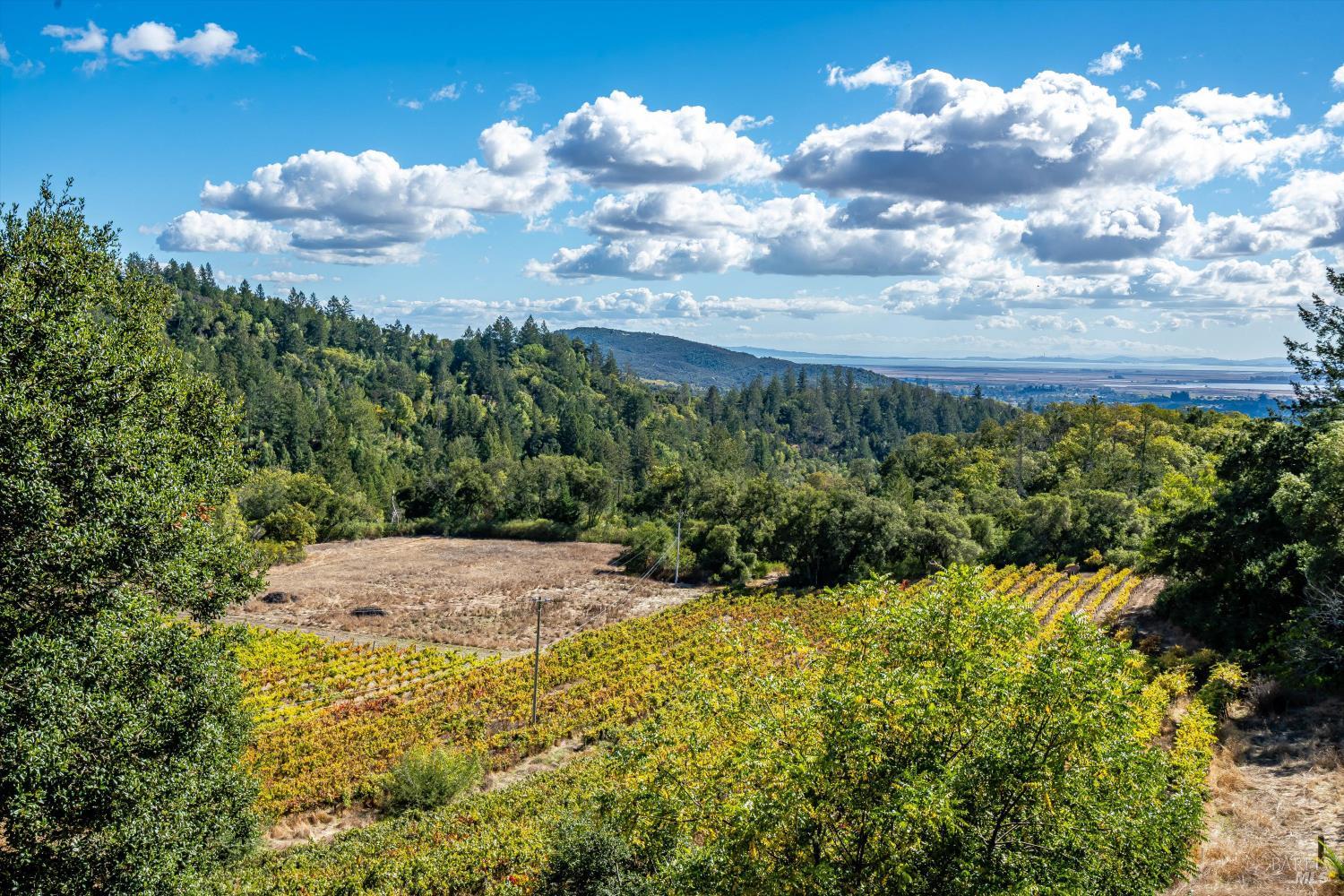 3200 Castle Road Sonoma, CA 95476 - Photo 40 of 42 View looking down property towards Sonoma
