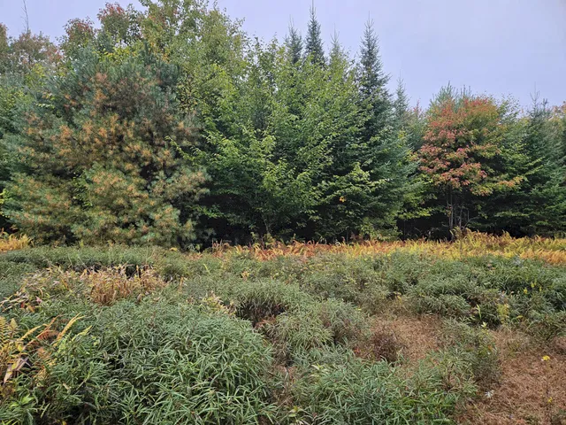 $35,000 | 85 Loon Road, Embden, ME 04958