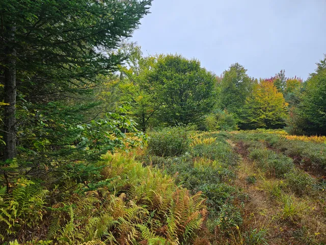 $35,000 | 85 Loon Road, Embden, ME 04958