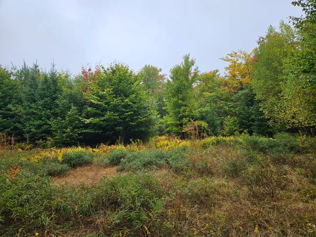 $35,000 | 85 Loon Road, Embden, ME 04958