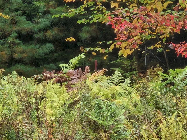 $35,000 | 85 Loon Road, Embden, ME 04958