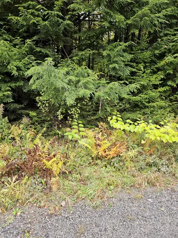 $35,000 | 85 Loon Road, Embden, ME 04958