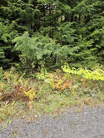 $35,000 | 85 Loon Road, Embden, ME 04958