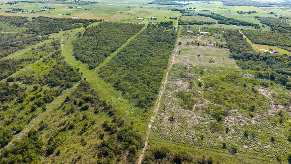 a view of a garden
