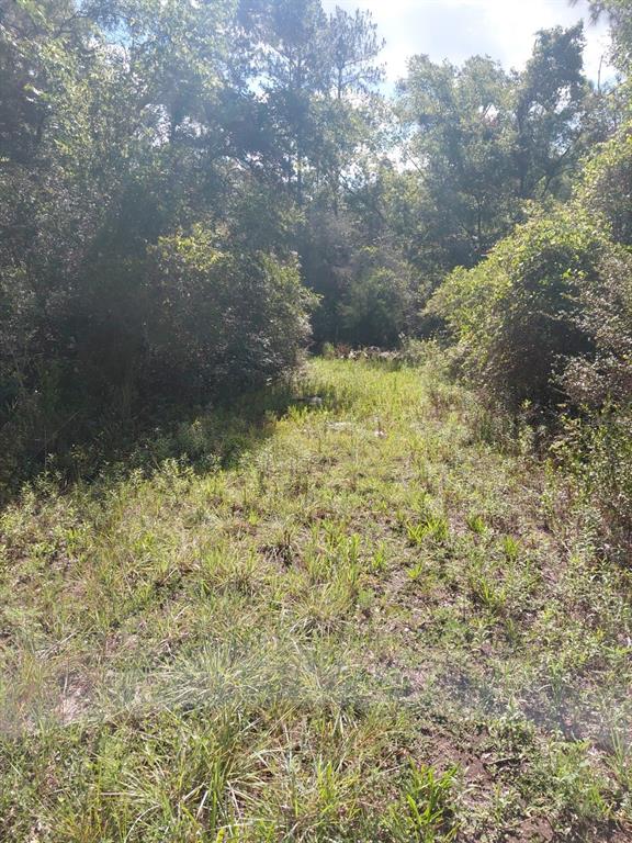 Pinon Drive Webster, FL 33597 - Photo 2 of 19
