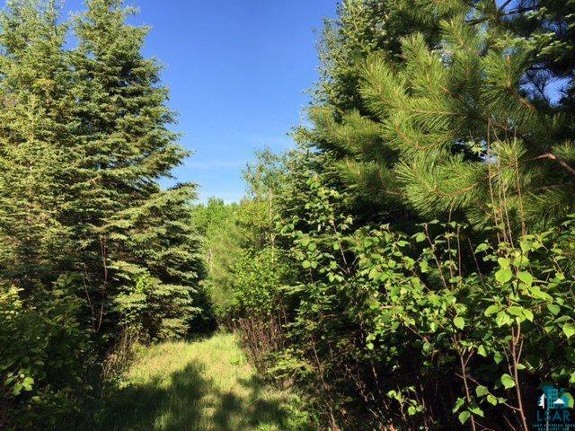 1142 Camp 20 Road Grand Marais, MN 55604 - Photo 3 of 17
