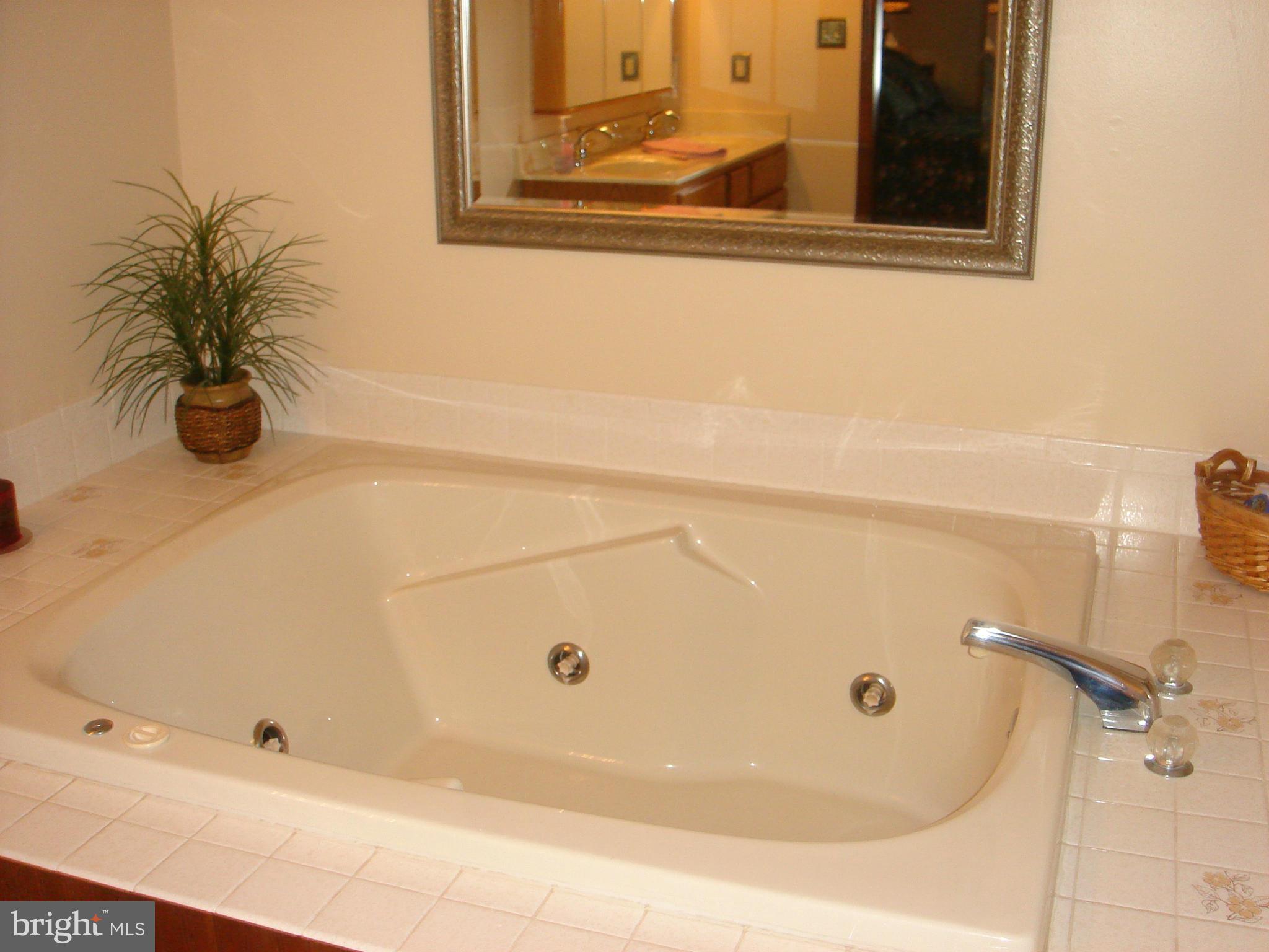 10603 Powell Road Thurmont, MD 21788 - Photo 10 of 30 Bath (Master)