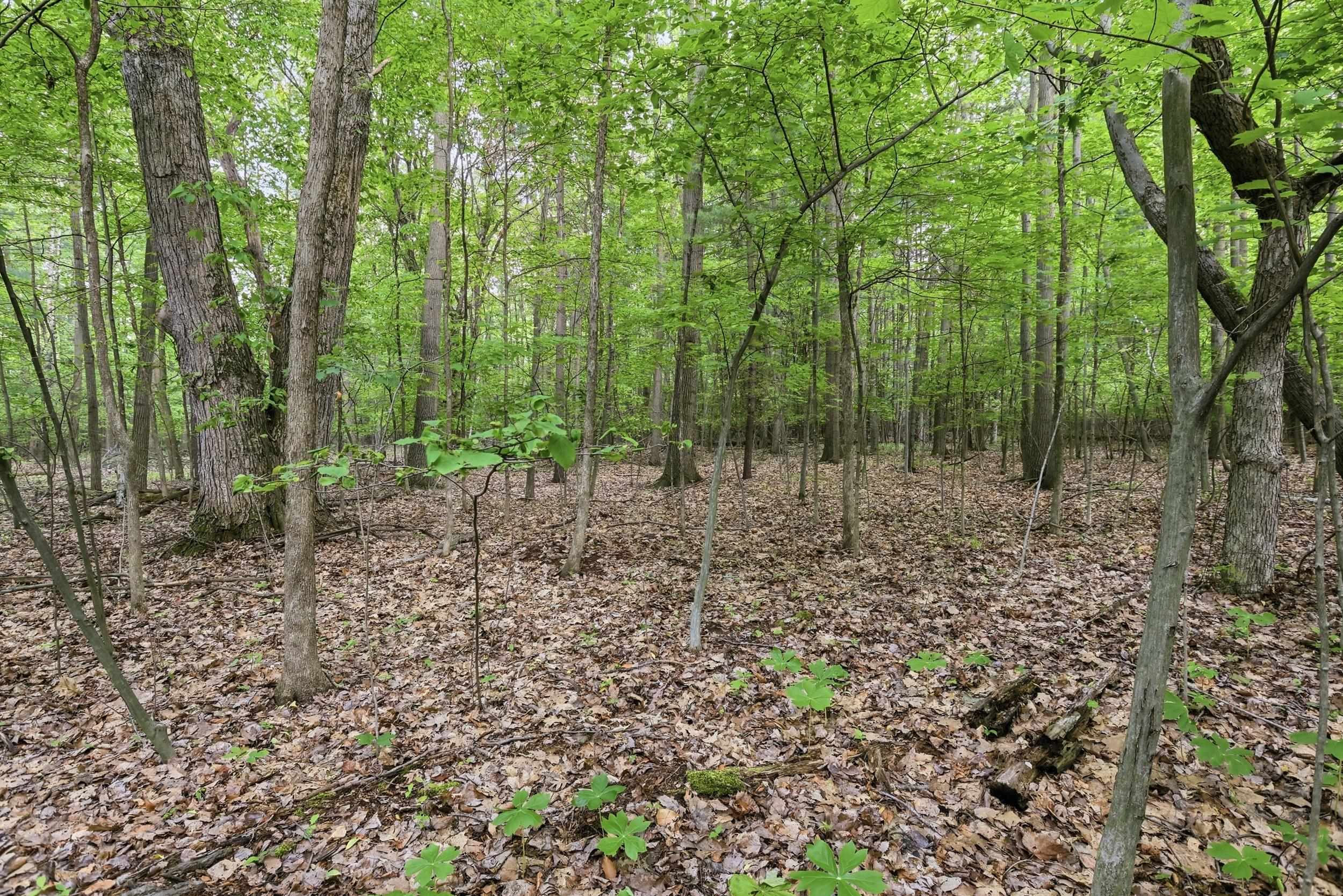 Vl South Chapin Road Elsie, MI 48831 - Photo 18 of 26