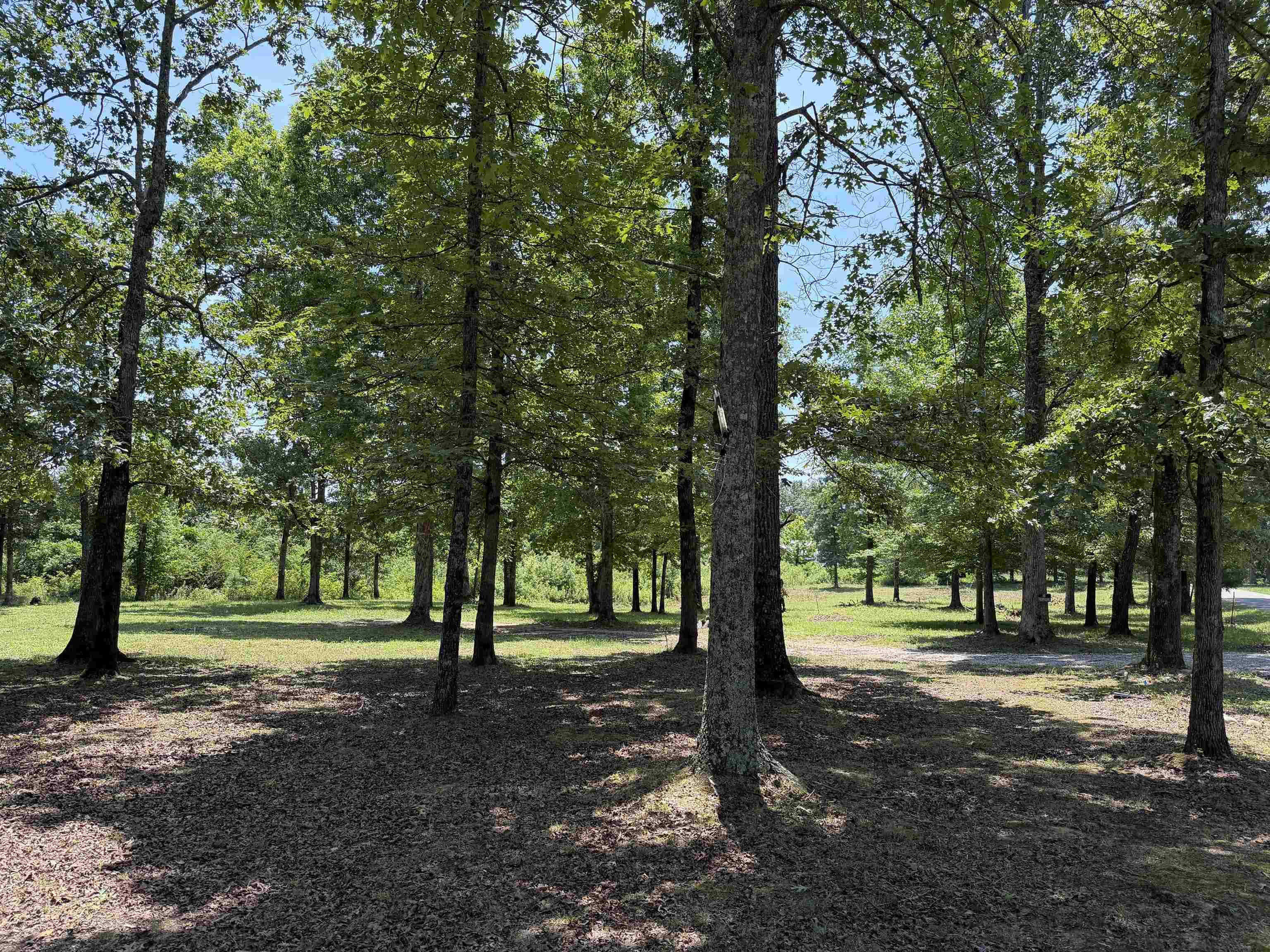 730 Old Union Road Adamsville, TN 38310 - Photo 34 of 40