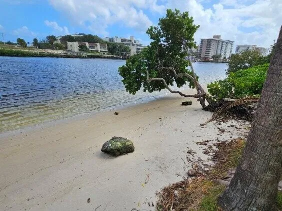 $2,575 | 1445 Southeast 15th Court, Unit 202, Deerfield Beach, FL 33441