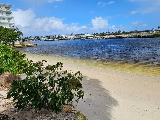 $2,575 | 1445 Southeast 15th Court, Unit 202, Deerfield Beach, FL 33441