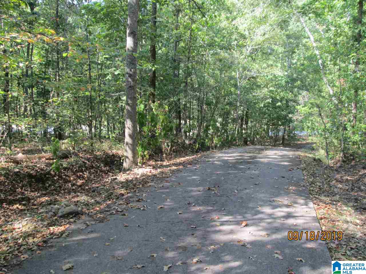 86 Red Valley Circle Remlap, AL 35133 - Photo 11 of 46
