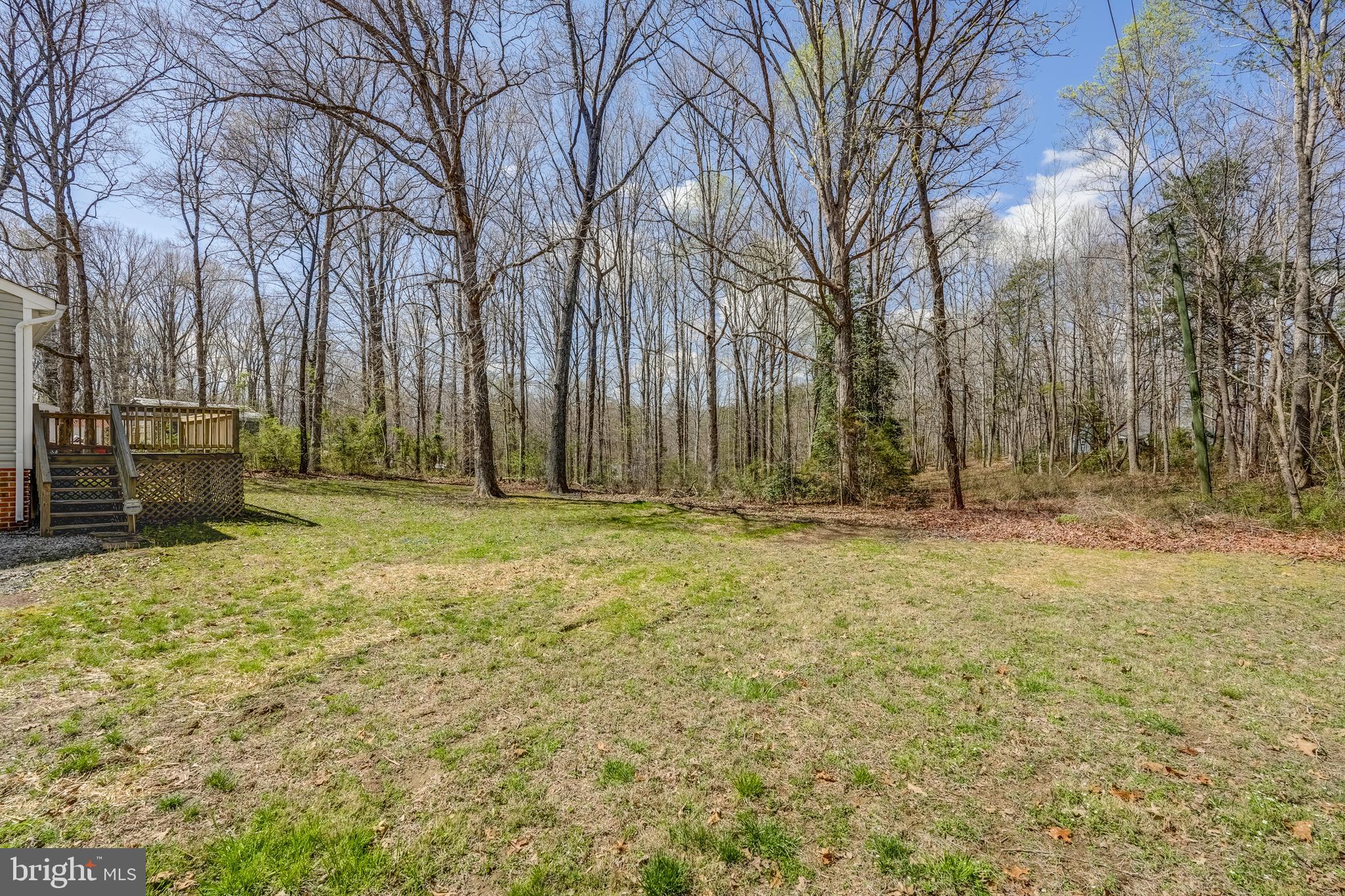 6021 Ridge Road Columbia, VA 23038 - Photo 8 of 40 a view of backyard with large tree