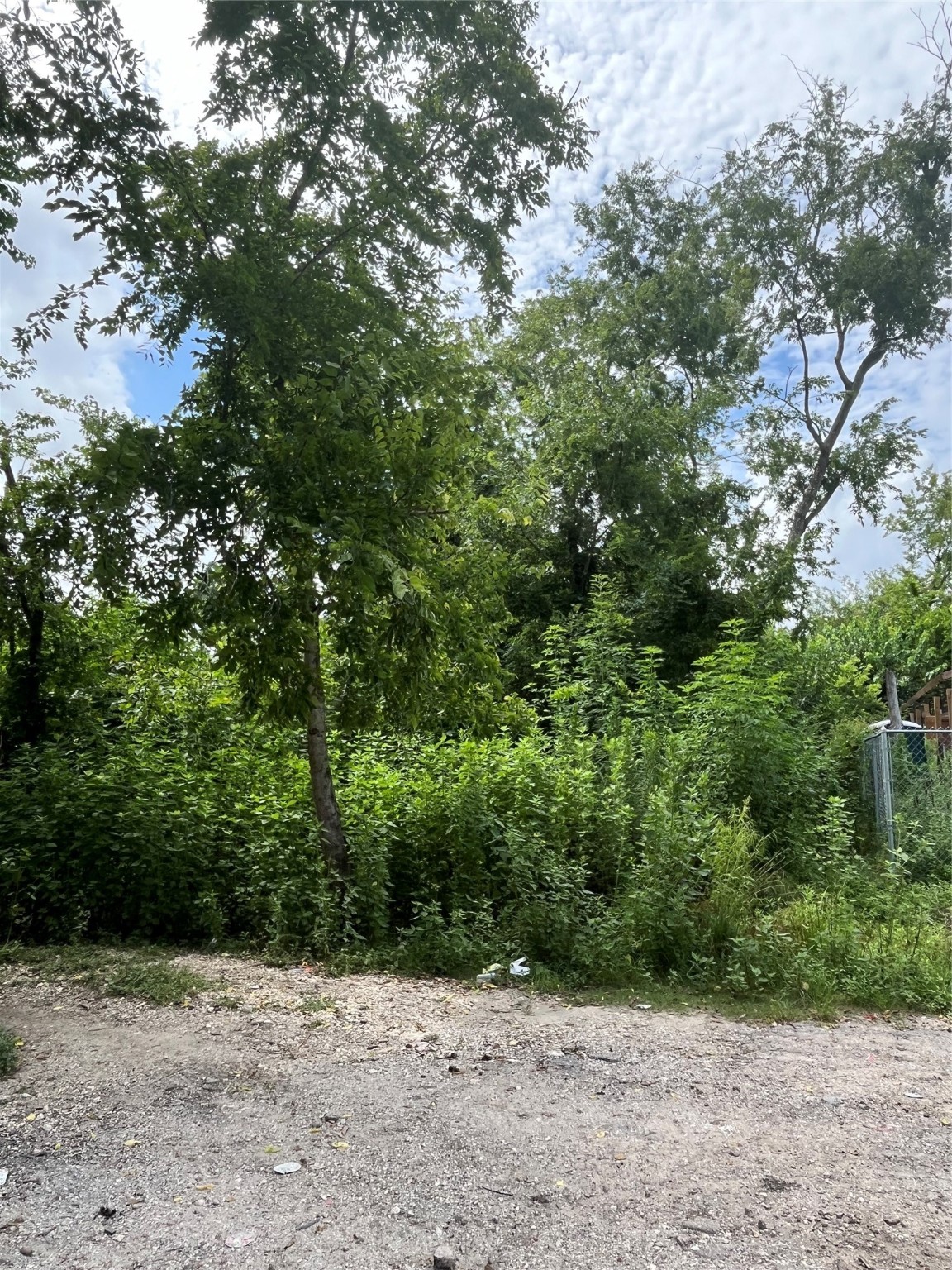 0 Fillmore Street Houston, TX 77029 - Photo 3 of 6 a view of bushes and trees