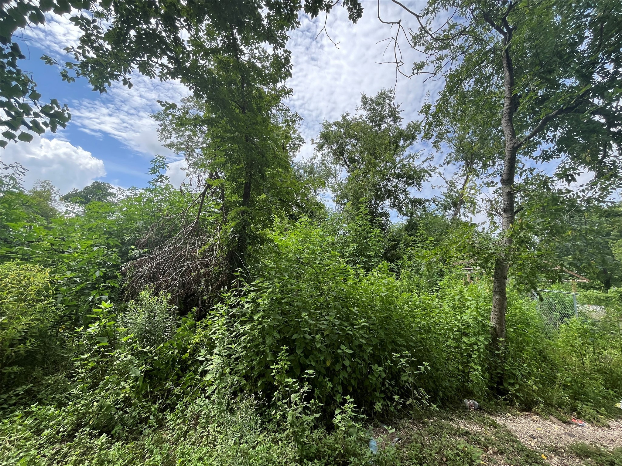 0 Fillmore Street Houston, TX 77029 - Photo 4 of 6 a view of a street with a tree