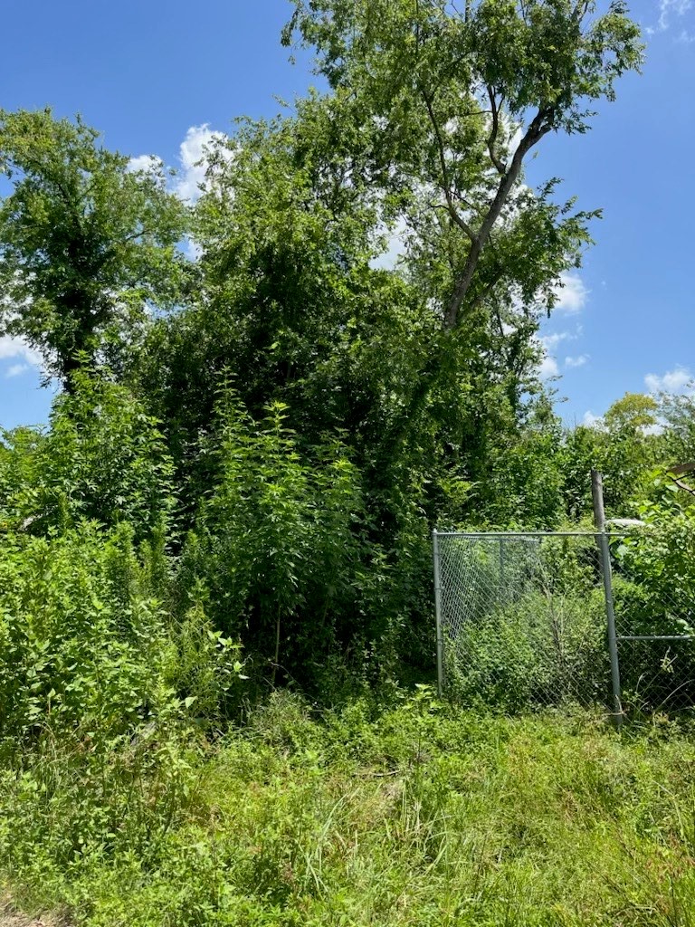 0 Fillmore Street Houston, TX 77029 - Photo 5 of 6 a view of a garden with plants