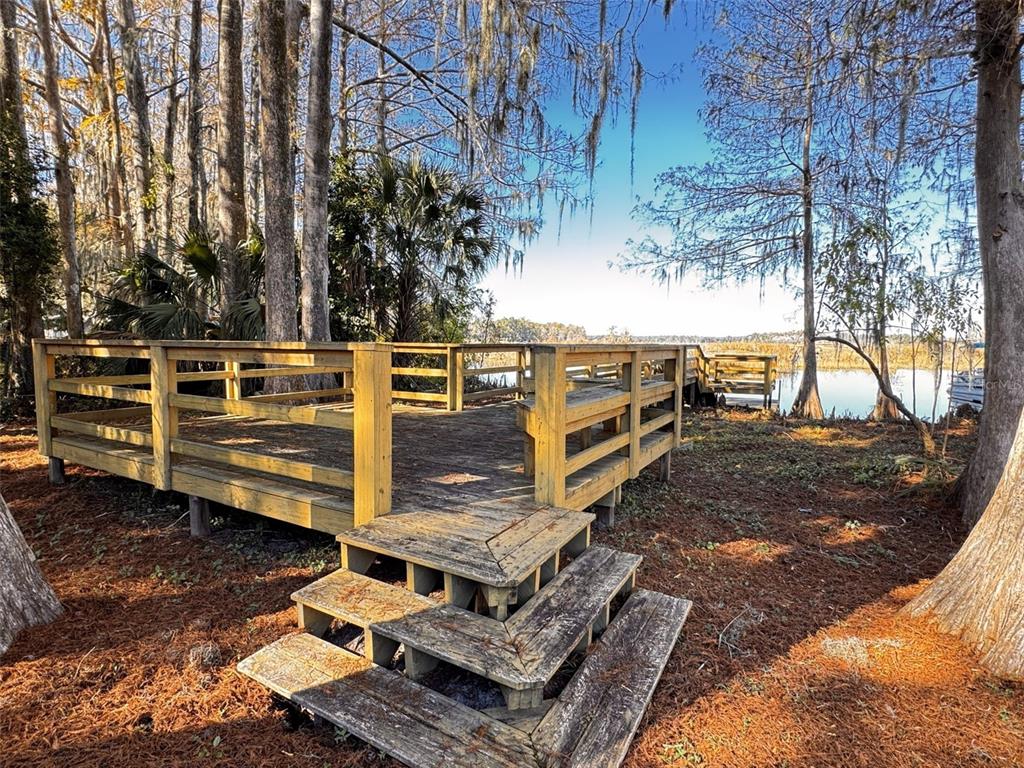 3108 North Wheaton Point Hernando, FL 34442 - Photo 31 of 35 a view of a backyard with trees