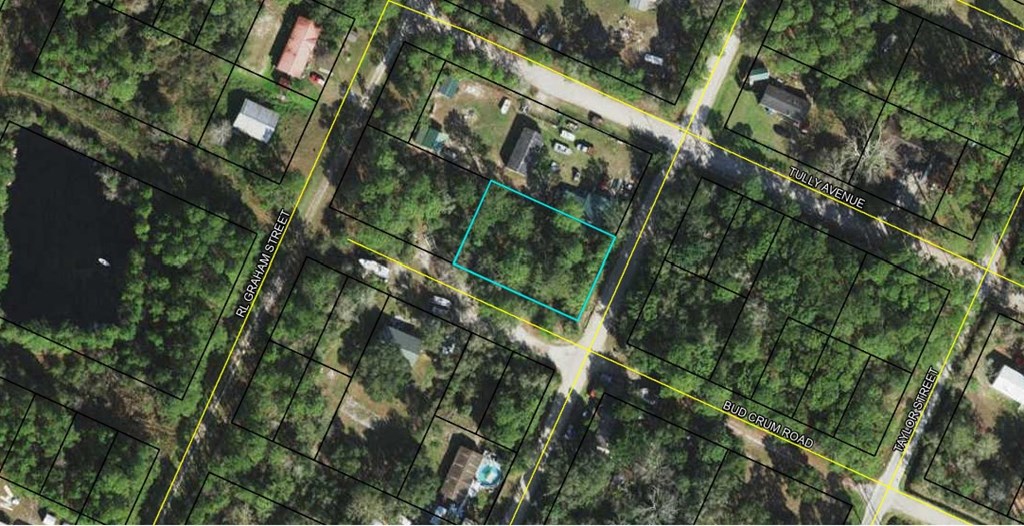 0 Bud Crum Road Panacea, FL 32346 - Photo 2 of 3